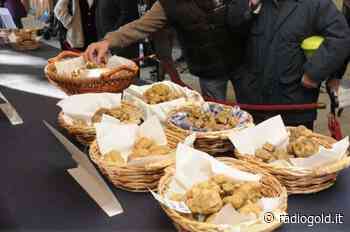 Ad Acqui Terme la Mostra regionale del Tartufo "Acqui & Sapori" - Radio Gold