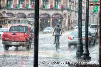 The dos and don'ts on flooded roads - Rosebank Killarney Gazette