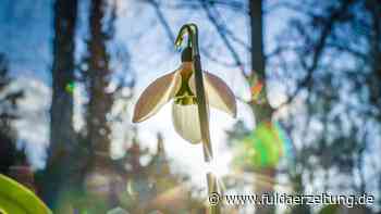 Wetter in Hessen: März startet mit viel Sonne und milden Temperaturen - Fuldaer Zeitung