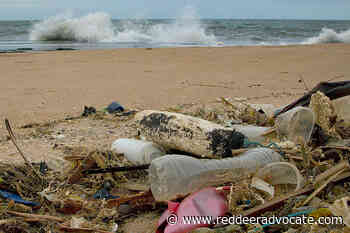 Health: Plastic soup is a disastrous meal - Red Deer Advocate