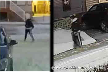 Red Deer homicide investigation continues: RCMP – Red Deer Advocate - Red Deer Advocate