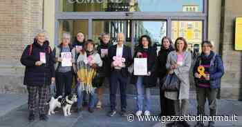 Vetrine Consapevoli dell’endometriosi, a Parma premi speciali - Gazzetta di Parma