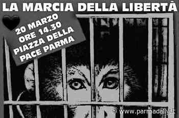 Meta Parma: "Il 20 marzo in Piazza della Pace contro la sperimentazione sugli animali" - - ParmaDaily.it