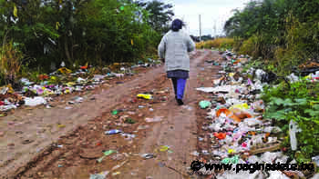 Convivir con el basurero municipal, la angustia de los vecinos de Cotoca - Pagina Siete