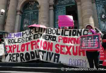 Feministas llaman a no legalizar “los vientres de alquiler” - plumas libres