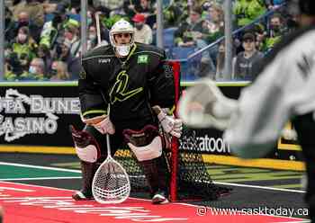 Saskatchewan Rush move to bolster its goaltending position - SaskToday.ca