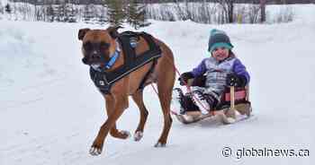 Your Saskatchewan photo of the day: March 2022 - Global News