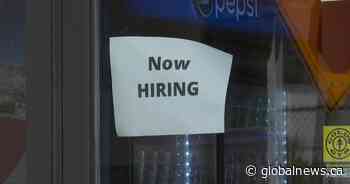 Saskatchewan sees 4.6% increase in jobs in January - Global News