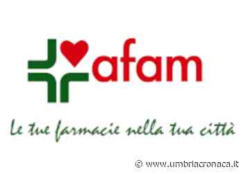 Foligno, l'Afam seleziona un posto di capo ufficio amministrativo - Il quotidiano che racconta l'Umbria - Umbria Cronaca