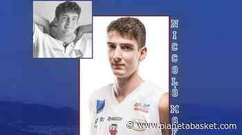 Serie B - Virtus Arechi Salerno, ingaggiata la guardia/ala Niccolò Moffa - Pianetabasket.com