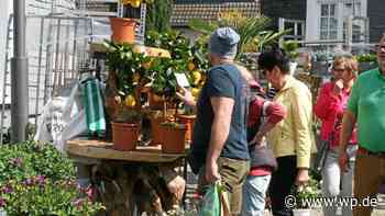 Vorfreude auf vier Stadtfeste in Herdecke nach Corona-Pause - WP News