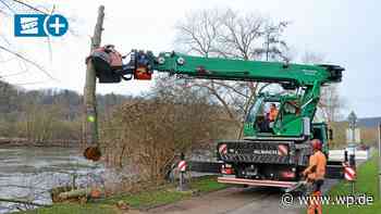 Ruhrtalradweg Herdecke: Ruhrverband beseitigt „tote“ Bäume - WP News