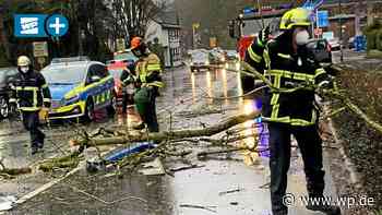 Baum kippt auf B54: Laut Feuerwehr Herdecke keine Verletzten - WP News