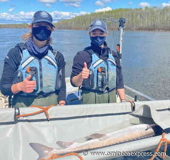 Rio Tinto ups investment in northern BC – Vanderhoof Omineca Express - Omineca Express