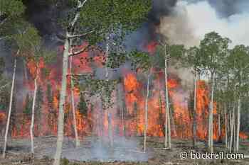 Ninety nine acre prescribed burn in Bridger-Teton National Forest - Buckrail