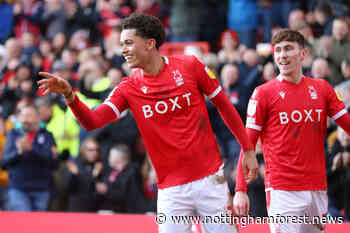 Report makes claim about Brennan Johnson but Forest fans needn't worry - Nottingham Forest News