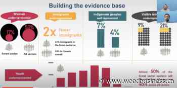 CFS looks at improving gender representation and diversity in the forest sector - Wood Business - Canadian Forest Industries