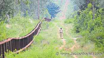 Forest encroachers to get power connection for farming - Deccan Herald