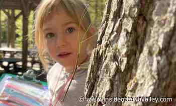 Forest school programs nurture natural curiosity - Ottawa Valley News