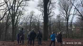 Förderprogramm schützt Huteeichen-Wald im Landkreis Ansbach - br.de