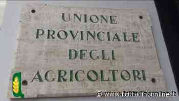 Upa Siena a sostegno del popolo ucraino - Il Cittadino on line