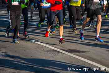 Anmeldungen für den Zabergäu-Lauf jetzt möglich - Eppingen.org