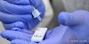 Aktuelle Zahlen zu Corona im Land: Inzidenz im Kreis Celle sinkt wieder - Cellesche Zeitung