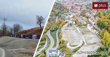 Für die Kita im neuen Baugebiet Rinker-Areal werden 19 Bäume gefällt - Schwäbische