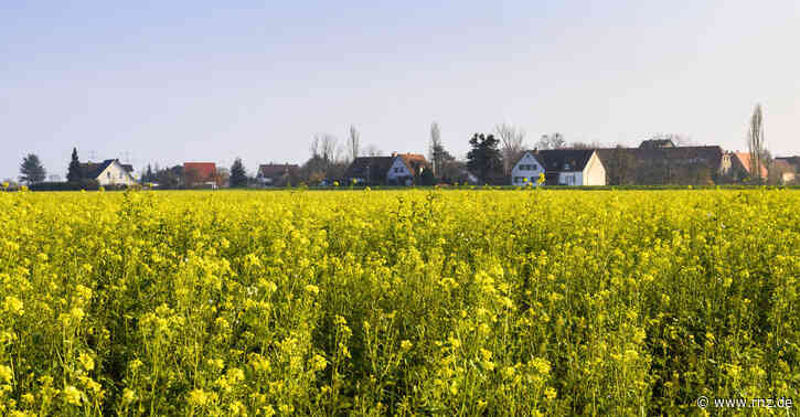 Bahntrasse Mannheim-Karlsruhe:  Stadtteilverein Wieblingen gegen Bahn-Projekt