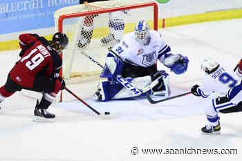Victoria Royals rookie earns WHL’s goalie of the week honours - Saanich News