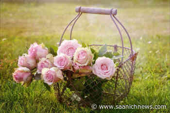 Sooke's beloved secret garden tour cancelled for another year – Saanich News - Saanich News