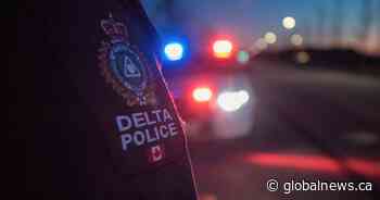 Delta police looking for suspect in alleged sex assault Saturday night - Global News