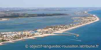 Muscat, tourisme, roman noir… Frontignan, la ville méditerranéenne qui veut booster sa visibilité - La Tribune Occitanie Montpellier