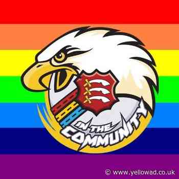 Havering reach the London Youth Games finals - Yellow Advertiser