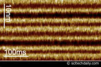 Illuminating a Biological Light Switch in Unprecedented Detail and Speed