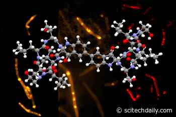 MIT Chemical Synthesis Yields Potential Antibiotic