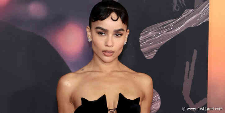 Zoe Kravitz Wears Another Catwoman Inspired Dress To 'The Batman' Premiere in NYC