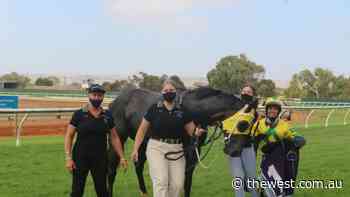 Julia Martin celebrates third win in six starts for ‘Cobba’ at Geraldton Turf Club - The West Australian
