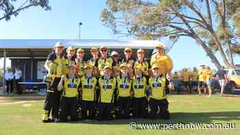 T20 flag win sparks celebrations for Wanderers in Geraldton women’s cricket - PerthNow