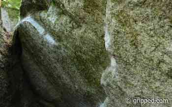 New Squamish Bouldering Guidebook Just in Time for Spring - Gripped Magazine