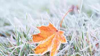 Wetter Jena heute: Wegen Frost! Wetterdienst gibt Warnung aus - news.de