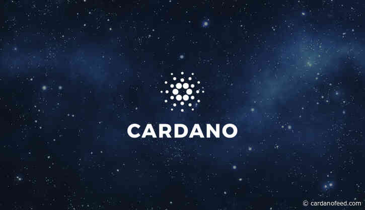Top Cardano Addresses Add 16 Million ADA in the Last 24 Hours - Cardano Feed