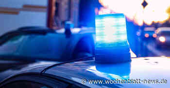 Mann will Frau retten: Zwei Menschen werden bei tragischem Zugunfall nahe Ulm getötet - WOCHENBLATT