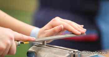 Ausbildungswoche: Arbeitsamt ist vor Ort und im Internet - Neustadt - Rheinpfalz.de