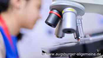 Bei Jugend forscht gibt es in Augsburg so viele Sieger wie noch nie