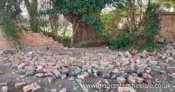 Storm in a teacup over threatened Gloucester tree after Eunice blows down brick wall - Gloucestershire Live