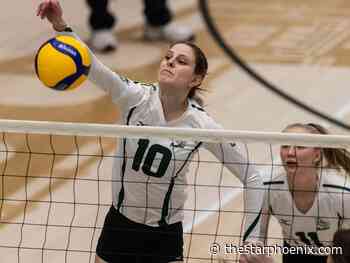 Sky's the limit for Huskies volleyball player Mandi Fraser