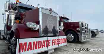 Majority of Albertans disillusioned with federal government: Angus Reid poll - Global News