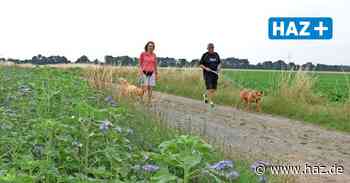 Ortsrat Ilten will Hundetoiletten an der Feldmark - HAZ
