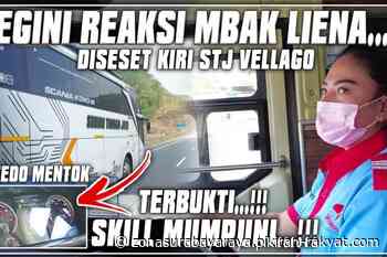 Sopir Cantik Bus Agra Mas, Bawa Armada Kasta Tertinggi Scania Tronton K410iB - Zona Surabaya Raya - Zona Surabaya